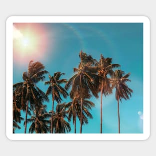 Palmtrees aqua Sticker